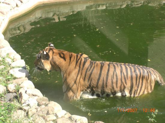 Ogród Zoologiczny w Zamościu